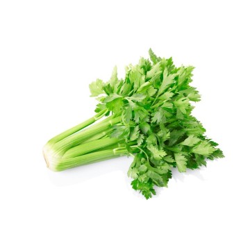 500 G Celeri